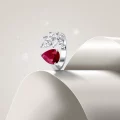 Discover the Allure of Luxurious gold